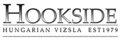 Hookside Hungarian Vizsla